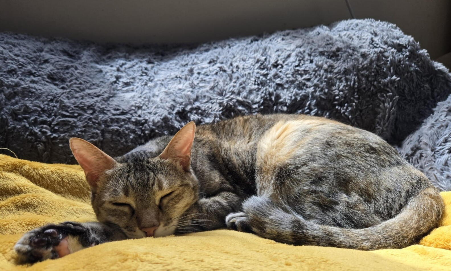 June 2025-one of her last quiet moments